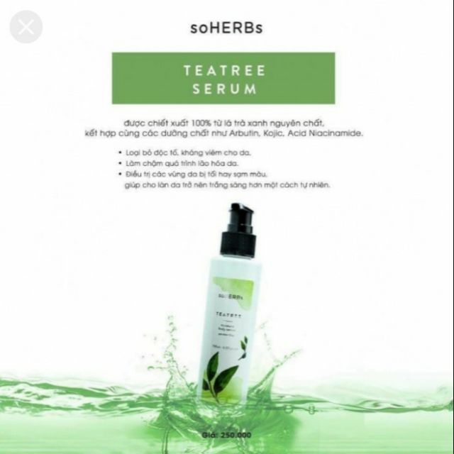 Serum trà xanh trắng da soherbs