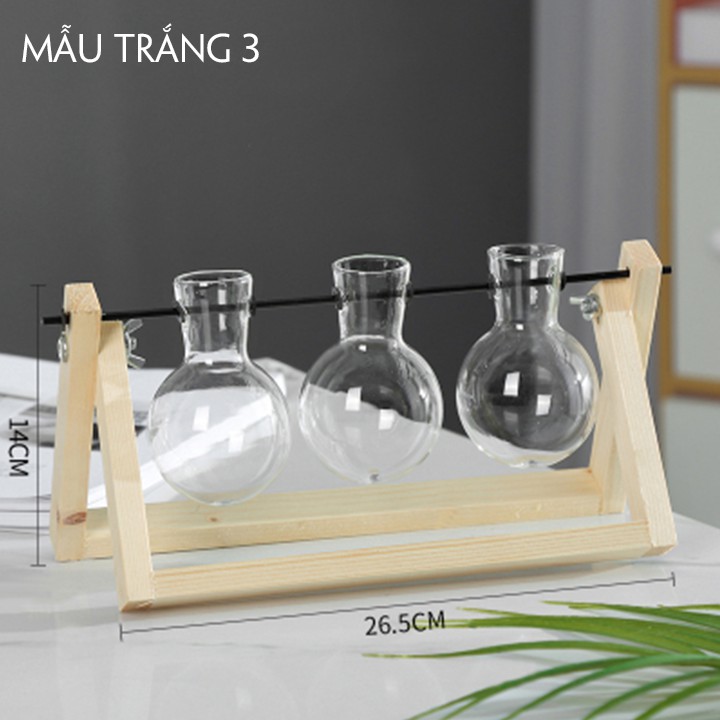 Bộ Chai Thủy Tinh Để Trồng Cây Thủy Sinh - Khung Gỗ Kèm Chai Thủy Tinh Trồng Cây Trang Trí