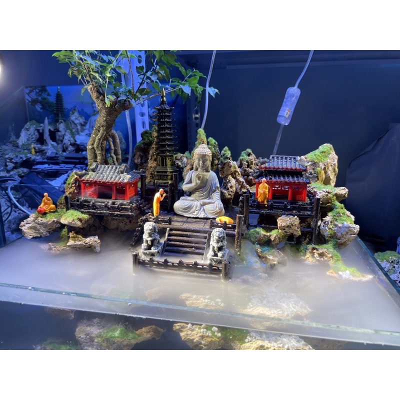 Hồ bán cạn tiểu cảnh mini 40cm phong cách Kelsey Mặt Trời Vàng