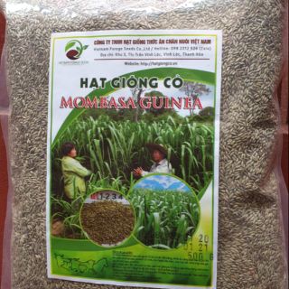 Hạt giống cỏ sả lá lớn Mombasa guinea khối lượng 1kg/ gói