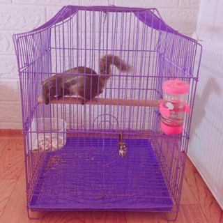 Áo lồng chim vuông 35*35*40