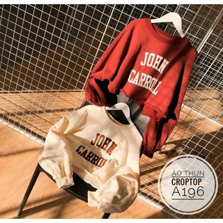 Bigsize Áo thun croptop A196