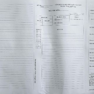 Giấy thi A3 - 100 tờ (phách ngang, phách dọc)