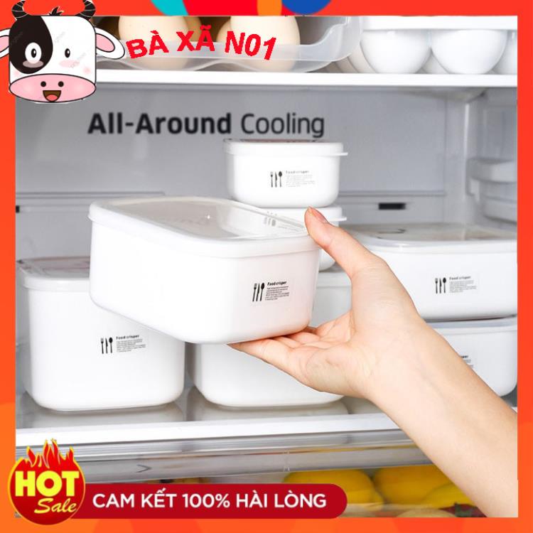 Hộp nhựa đựng thực phẩm - Set 4 hộp bảo quản thức ăn, Hộp trữ đông, Quay lò vi sóng