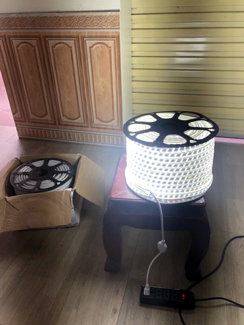 LED dây 3 hàng bóng 2835- Trang trí dịp Tết cuộn 100m