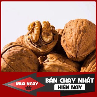 [HÀNG LOẠI 1] Hạt óc chó nếp sấy khô Tây bắc 500g tốt cho phụ nữ mang thai và cho trẻ nhỏ