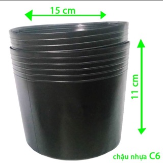 50 chậu nhựa dẻo size C6 màu đen trồng cây