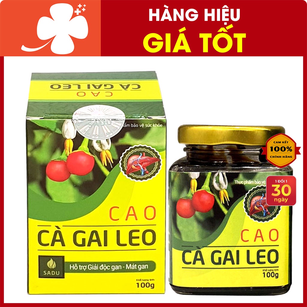 100g Cao Cà Gai Leo Sadu  -  Bảo vệ lá gan gia đình bạn