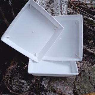 Khay (Đĩa) Lót Chậu Cây Phi 15cm