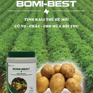 Phân Bón Kali BOMI BEST