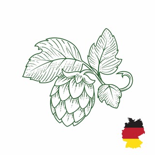 Hoa bia Hallertau Saphir