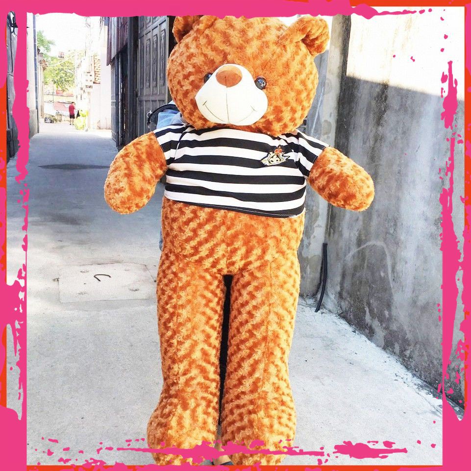 Gấu bông Teddy Cao Cấp khổ vải 1,4m Cao 1,2m Màu Vàng Đồng