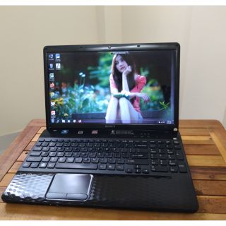  Sony Vaio AMD RAM 4GB HDD 500GB