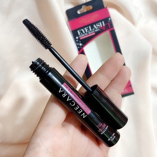 Set Dưỡng Mi & Mascara Neecara Thái Lan