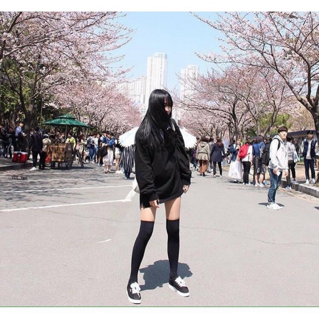 Tất đen, trắng giả bốt, tất đen cosplay học sinh nhật bản, hàn quốc sexy babe( 7 loại màu)
