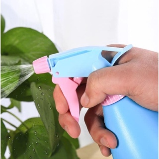 Bình xịt nước tưới cây 500ml