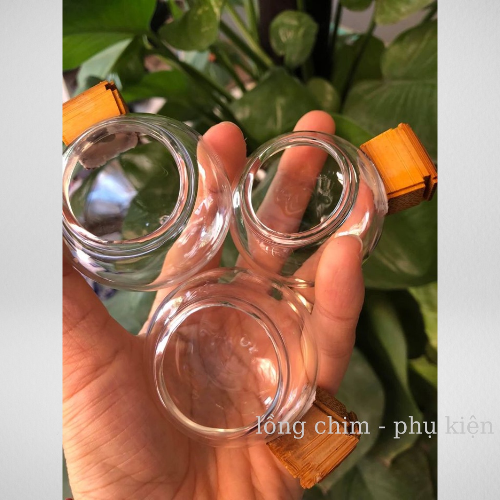 Cóng chim chào mào, họa mi( đủ bộ)  - Combo 3 cóng thủy tinh chào mào,họa mi kèm tai tàu cao cấp