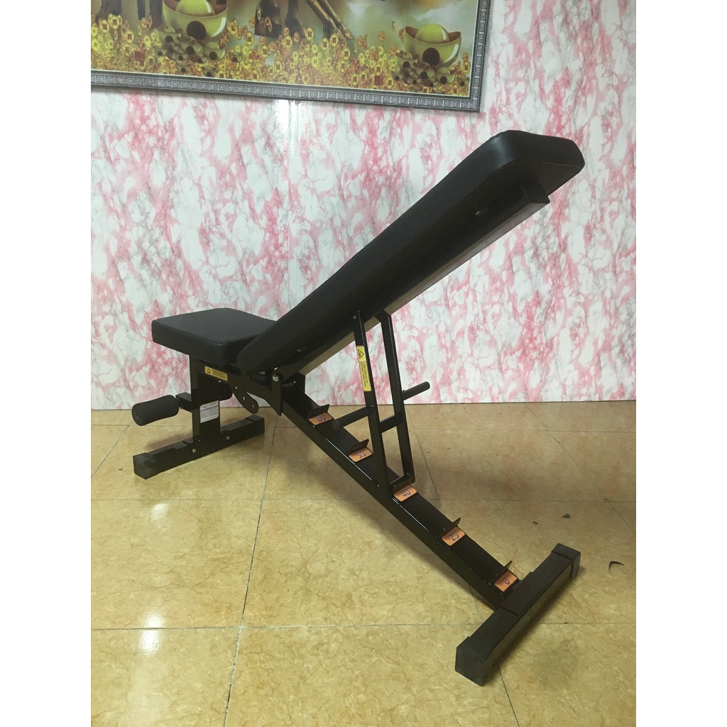 GHẾ TẬP TẠ ĐA NĂNG DD012 LIONSPORT