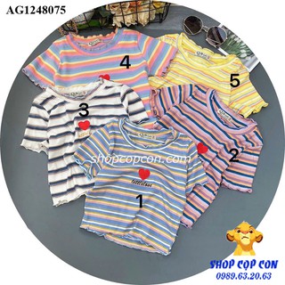 Áo thun sọc croptop form ôm cho bé gái từ 28 đến 50kg