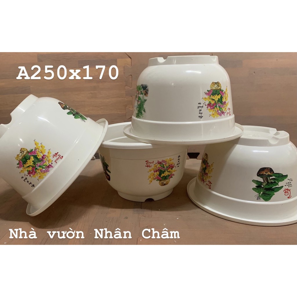 Chậu 4 mùa A250 dùng để trồng hoa,cây cảnh các loại