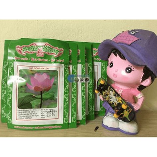 hạt giống cây Sen ta lấy hạt