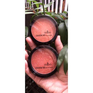 Má hồng ODBO Charming Blusher