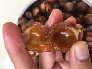 Enzym bồ hòn rửa bát chai 1 lít