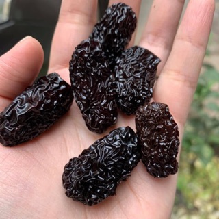 Táo tàu đen - Lục lang tử tinh táo