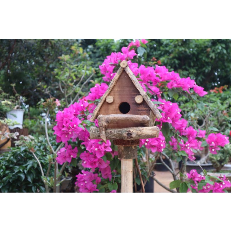 Nhà chim cắm sân vườn gỗ tự nhiên