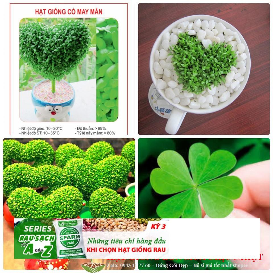Hạt Giống Cỏ May Mắn - 100 Hạt