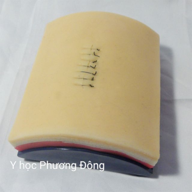 MÔ HÌNH DA luyện tập PHẪU THUẬT, KHÂU VẾT THƯƠNG tặng BỘ DỤNG CỤ 5 MÓN KHÂU VẾT THƯƠNG