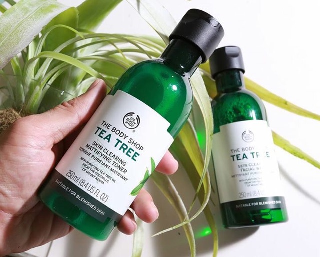 NƯỚC HOA HỒNG TEA TREE SKIN CLEARING MATTIFYING TONER