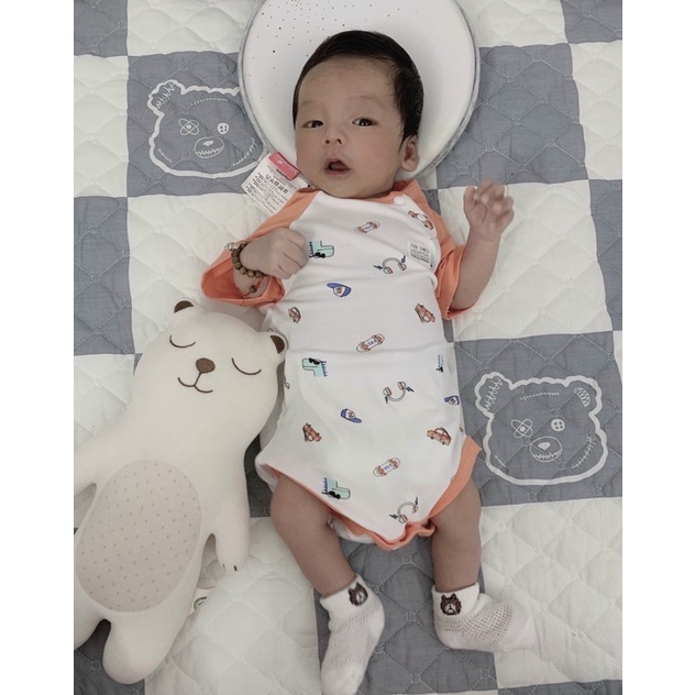 Set chăn ga gối 4 món cotton living gấu xám