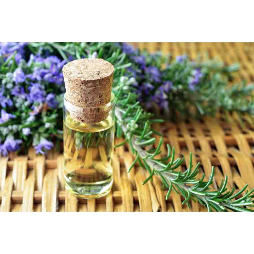 Tinh dầu hương thảo 10mL - ROSEMARY PURE ESSENTIAL OIL 100% chiết xuất tự nhiên