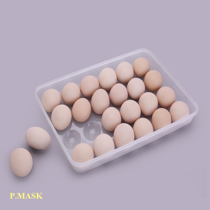 Hộp đựng trứng 24 quả Nhựa Việt Nhật 6786 bảo quản trứng có nắp đậy tiện dụng HA22