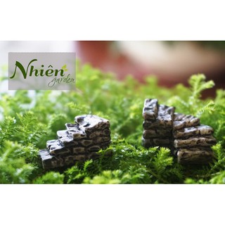 Cầu thang đá dốc - phụ kiện trang trí tiểu cảnh, terrarium