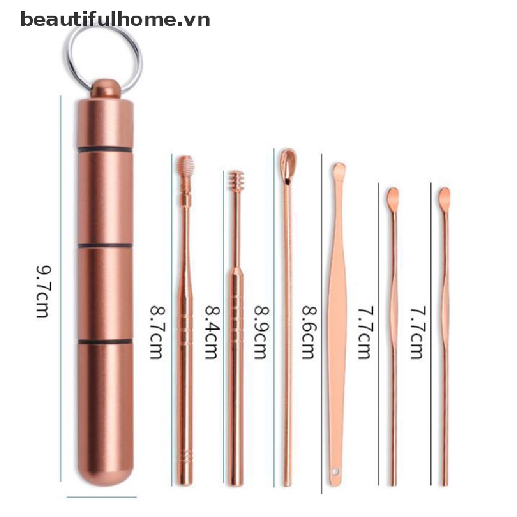 Set 6 Dụng Cụ Lấy Ráy Tai Bằng Inox Tiện Lợi