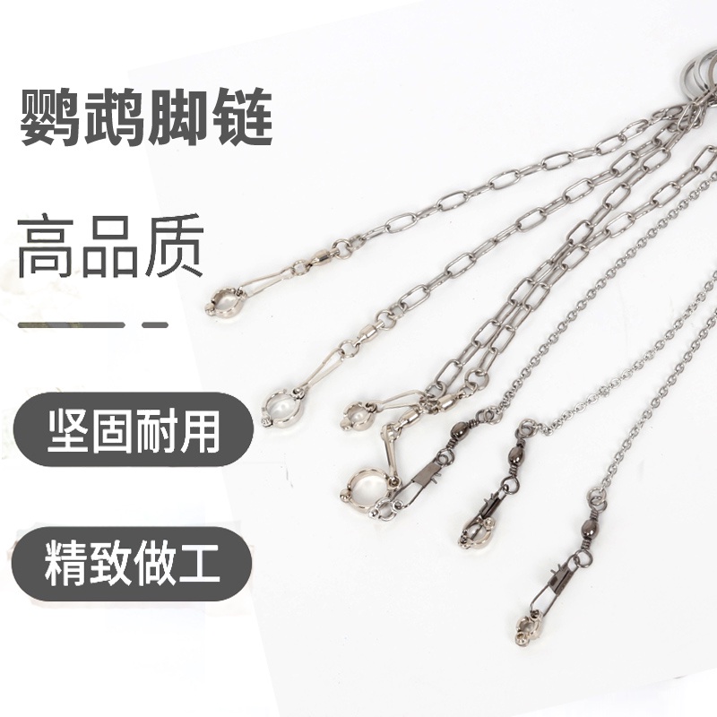 Vòng Đeo Cổ Chân Bằng Thép Không Gỉ Có Khóa Gài Hình Chim Vẹt Đứng