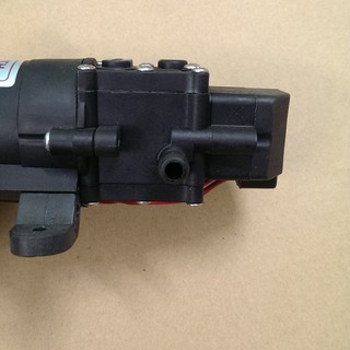 Bơm nước mini 12V