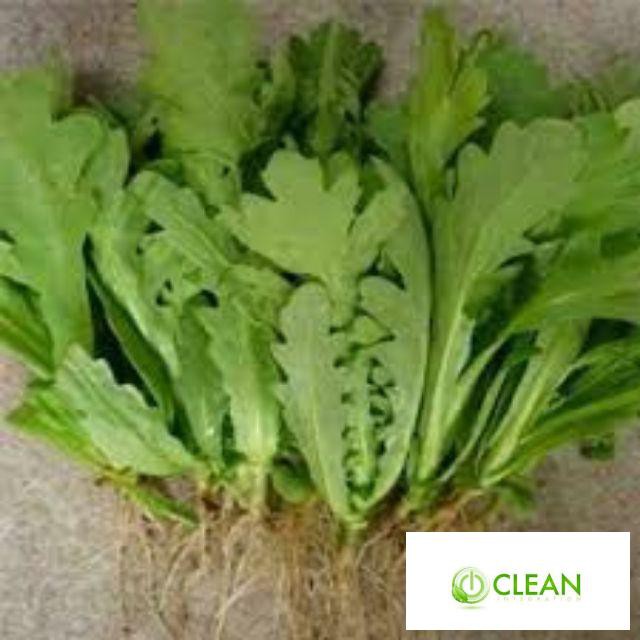 Hạt giống Cải Cúc 50 hạt