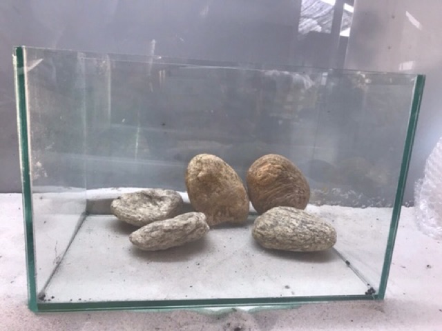 Đá cuội vân mây 1kg