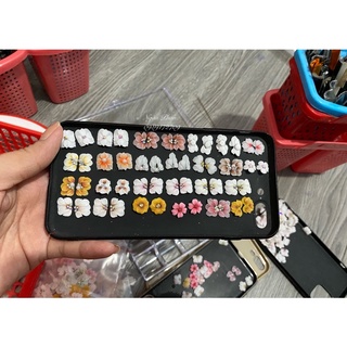 Combo 50 hoa bột giá rẻ