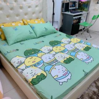 Bộ ga và 2 vỏ gối cotton poly
