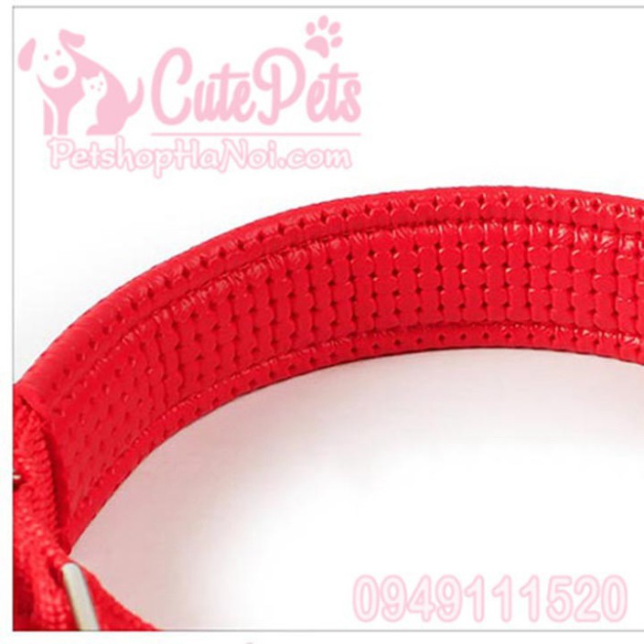 Vòng cổ vải màu lót da mềm cho thú cưng - CutePets Phụ kiện chó mèo Pet shop Hà Nội Hàng chính hãng