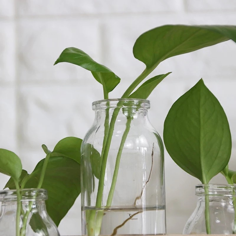 PVN15118 Bộ cắm hoa, trồng cây màu gỗ tự nhiên T2