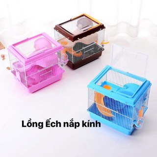 lồng Ếch , Hoàng Tử nắp kính