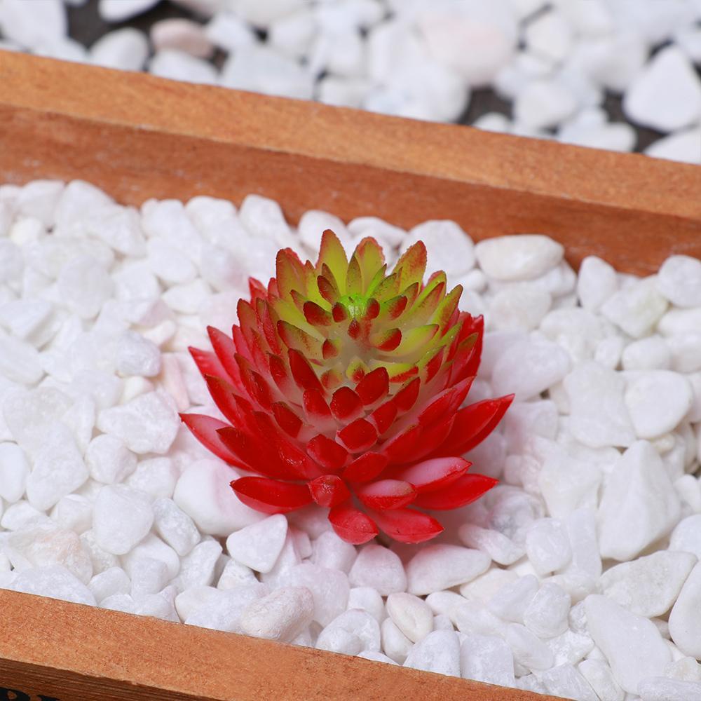 1 Cây Xương Rồng Giả Trang Trí