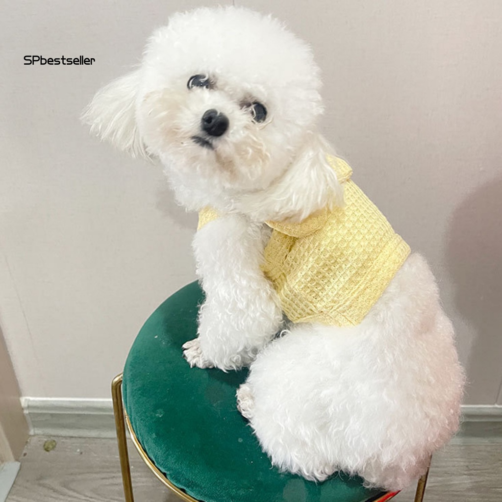 Áo Dệt Kim Có Thể Giặt Rửa Dành Cho Thú Cưng