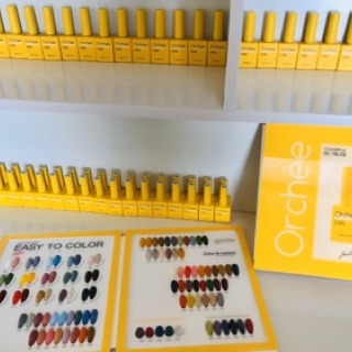 SƠN GEL 10 MÀU TỰ CHỌN