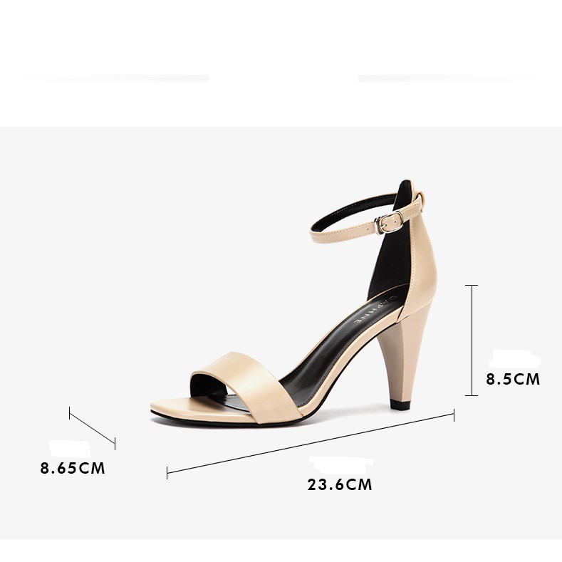 Sandal Daphne quai ngang gót nhọn 8.5cm (CÓ SẴN)